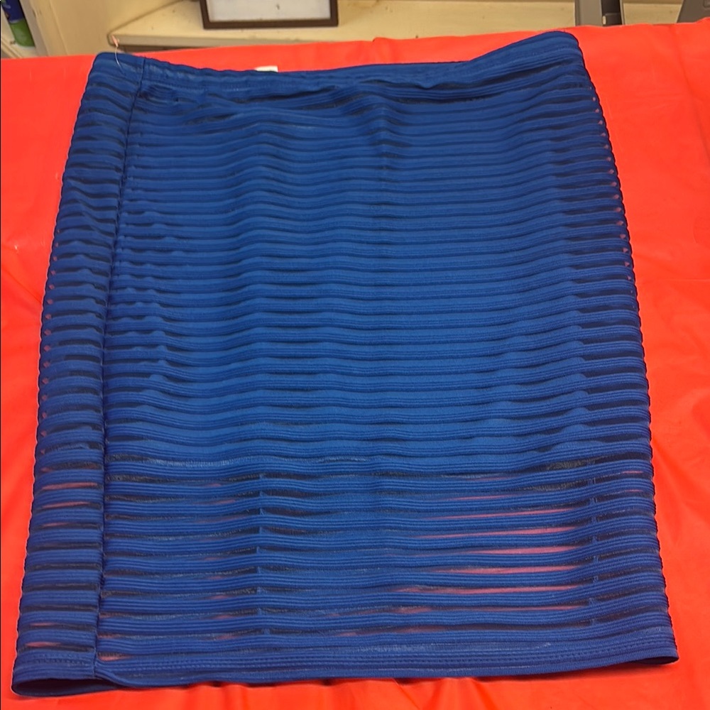 Elegant Blue Women's Skirt